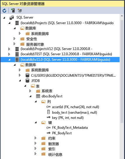 Screenshot that shows the SQL Server Object Explorer window.