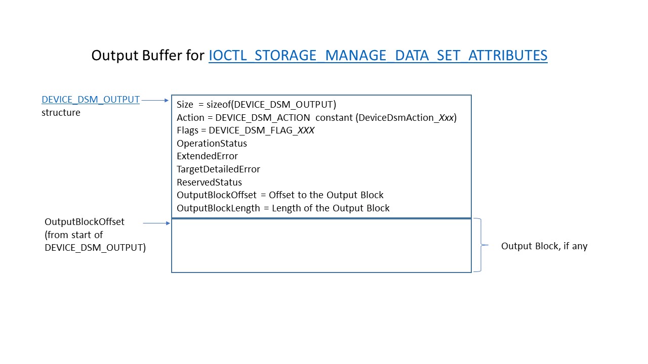 DSM IOCTL 输出缓冲区。