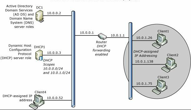 DHCP 网络拓扑概述