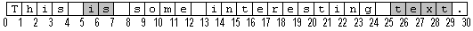 一个 30 个字符的文本字符串的示意图，其中五个单词中两个带有阴影