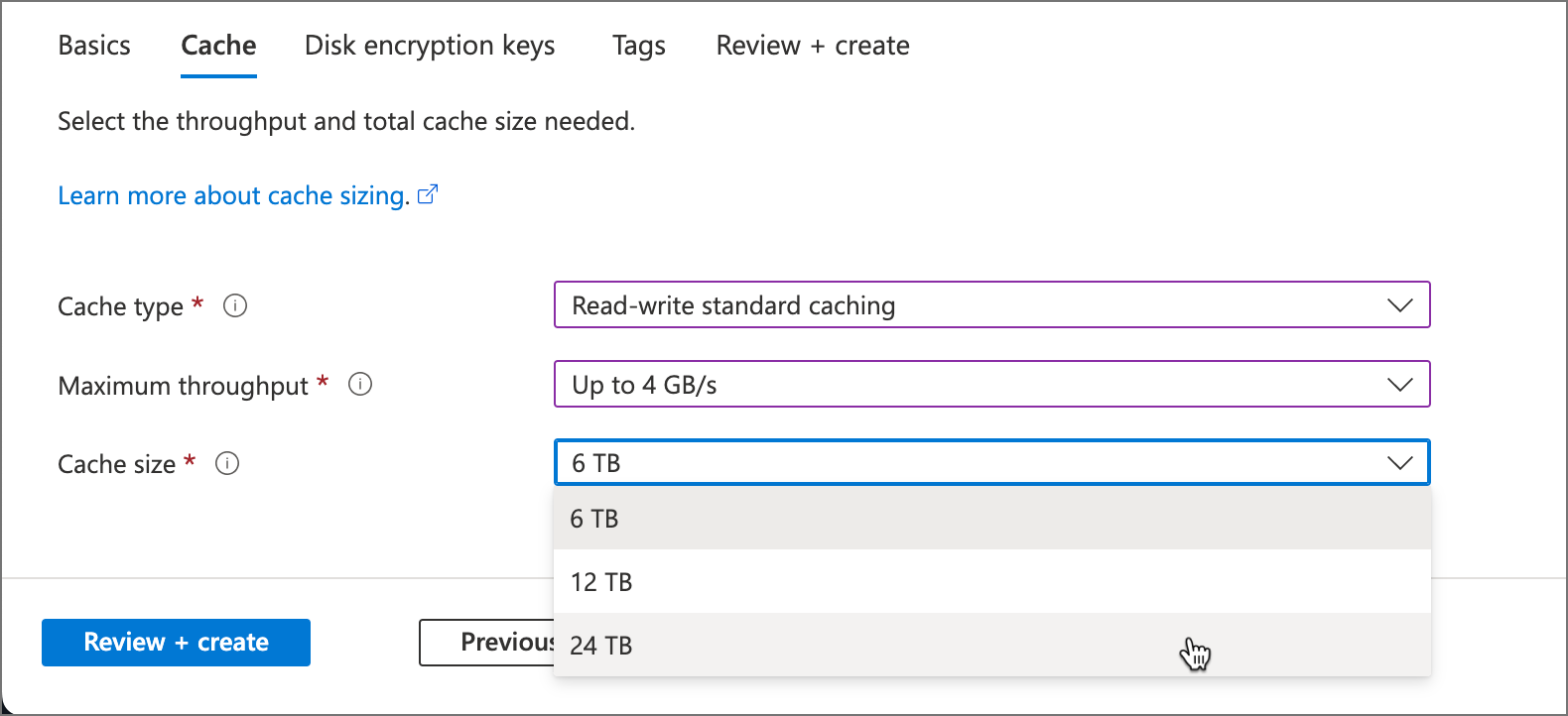 Azure 入口網站 中快取重設大小頁面的螢幕快照。