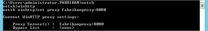 螢幕擷取畫面，其中顯示執行 netsh 工具以設定 Proxy 的命令提示字元視窗。