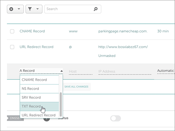 選取 SPF TXT 記錄的 TXT 記錄。