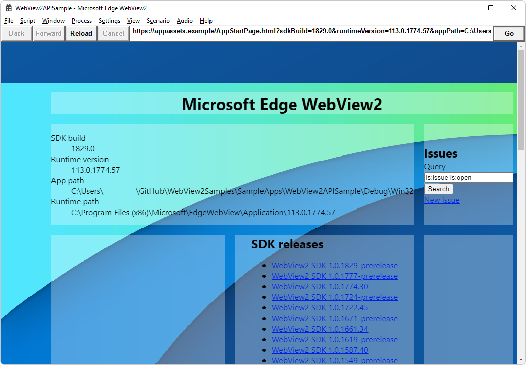 顯示 WebView2 SDK 版本和 WebView2 執行時間版本和路徑的 WebView2APISample 應用程式視窗