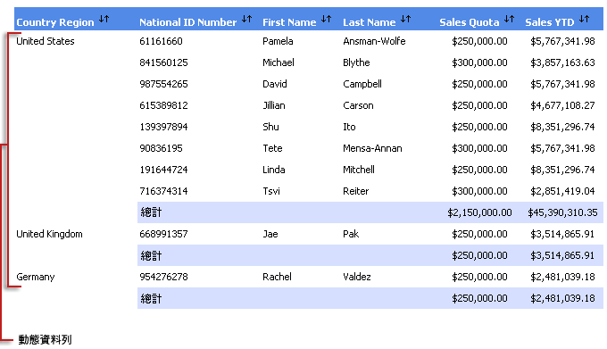 含資料的資料表報表。