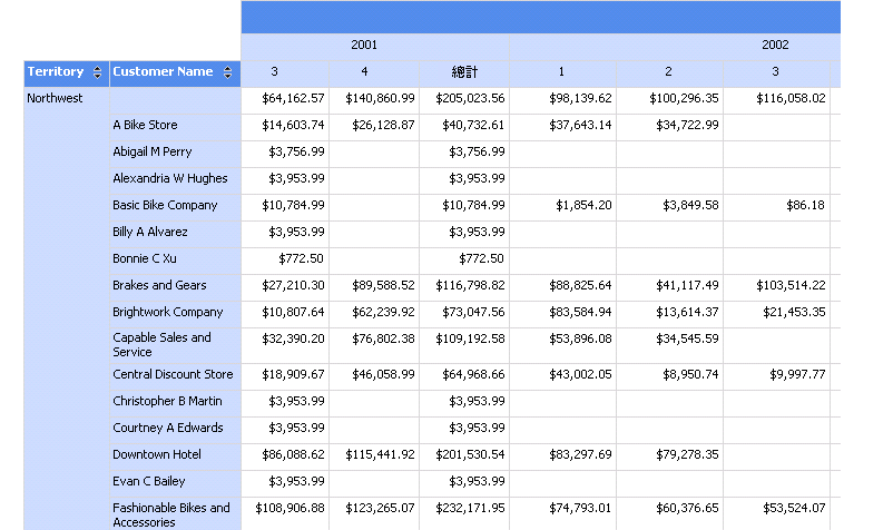 具有巢狀資料行的轉譯矩陣報表。