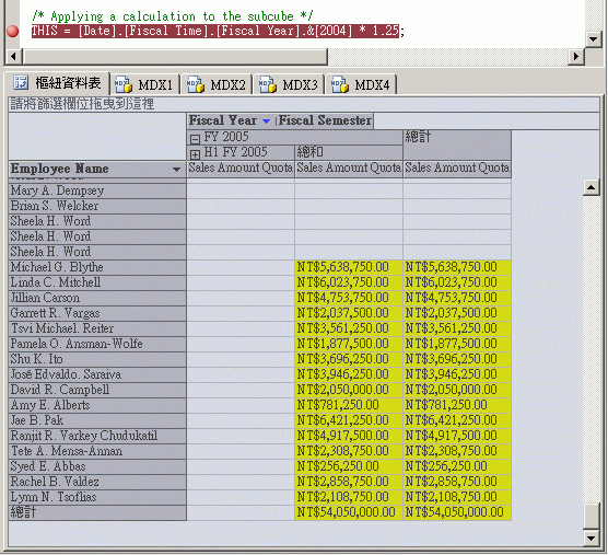 顯示 2005 會計年度的資料窗格