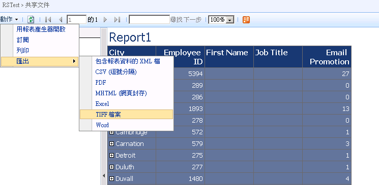 報表檢視器 Web 組件