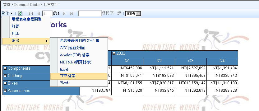 報表檢視器 Web 組件