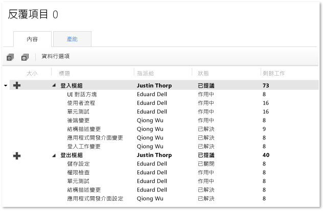 Excel 中顯示的任務工作分工