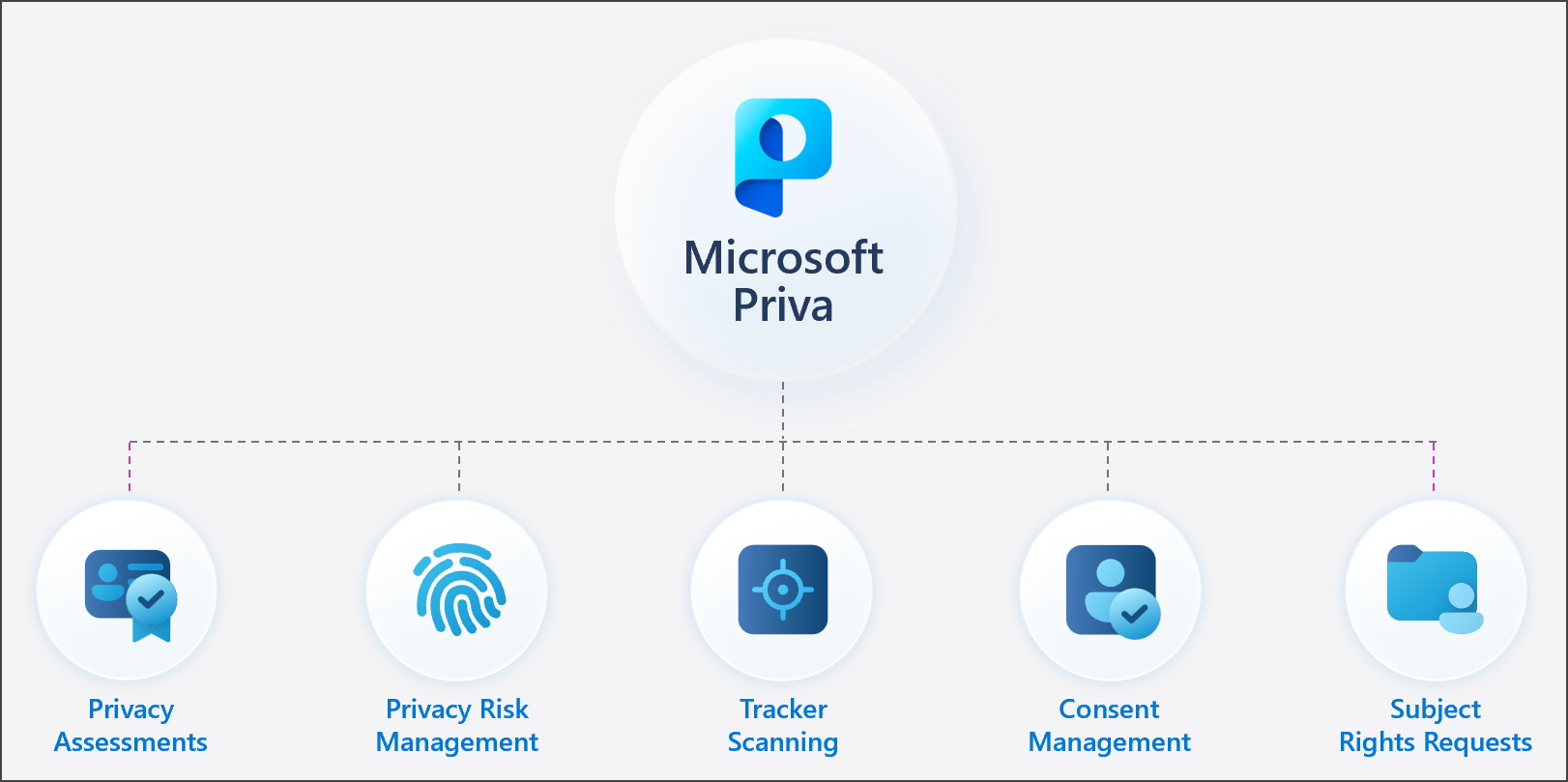 Microsoft Priva 解決方案系列的圖例。