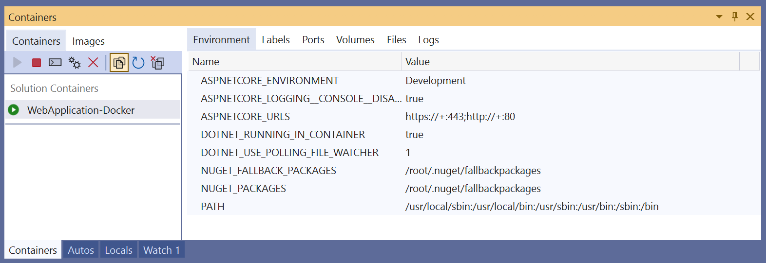 Visual Studio 中 [容器] 視窗的螢幕擷取畫面，其中顯示容器的環境變數。